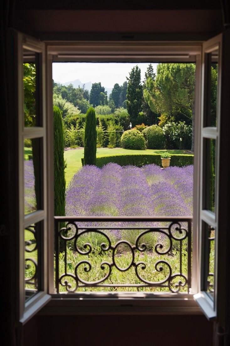 Blick aus Fenster mit schmiedeeisernem Geländer auf Landschaftsgarten mit Lavendelfeld