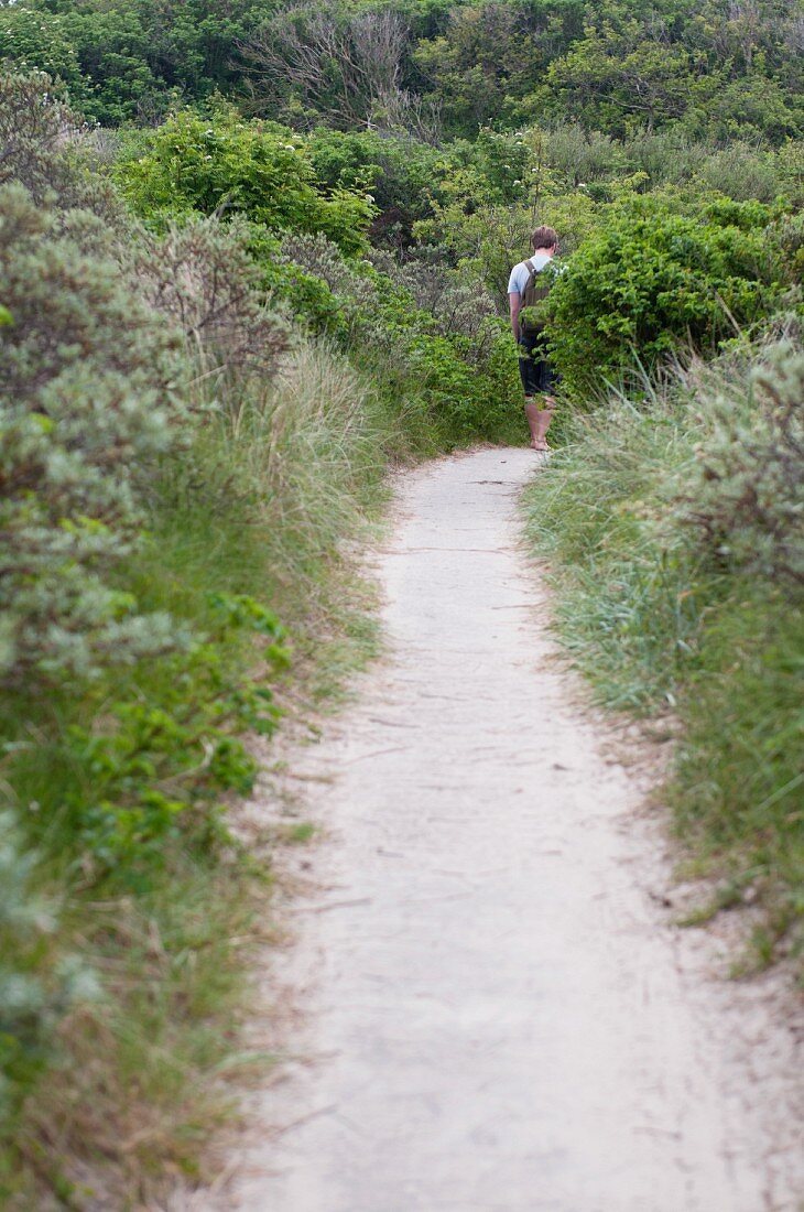 Mann läuft schmalen Weg entlang durch grüne Dünenlandschaft