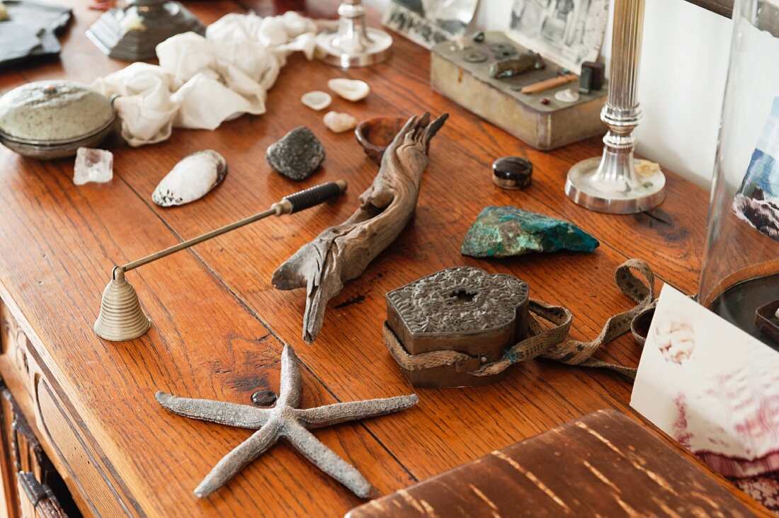 Starfish, driftwood and other finds on chest of drawers made of untreated wood