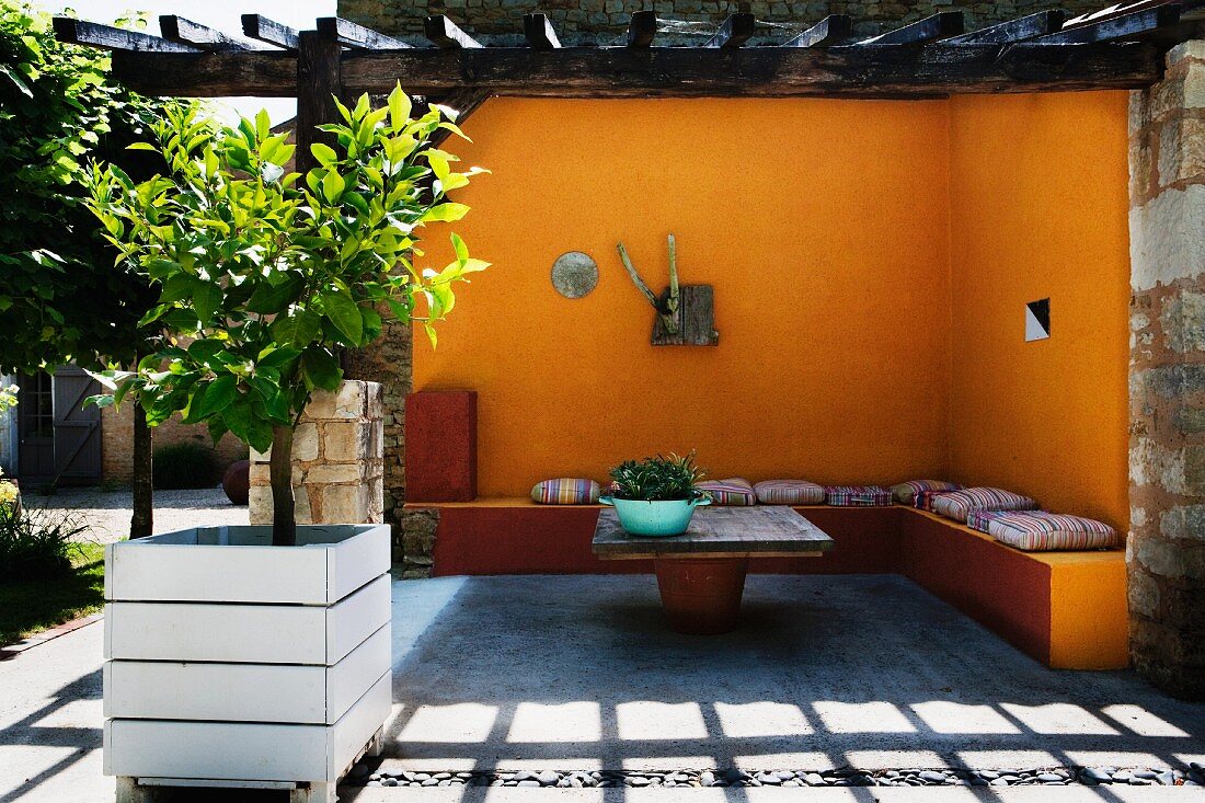 Small lemon tree in wooden planter in front of terrace area with yellow limewashed walls and pergola