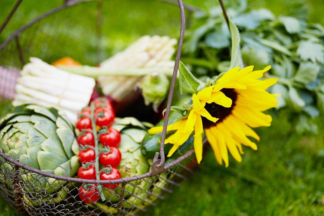 Vegetable basket with sun flowers