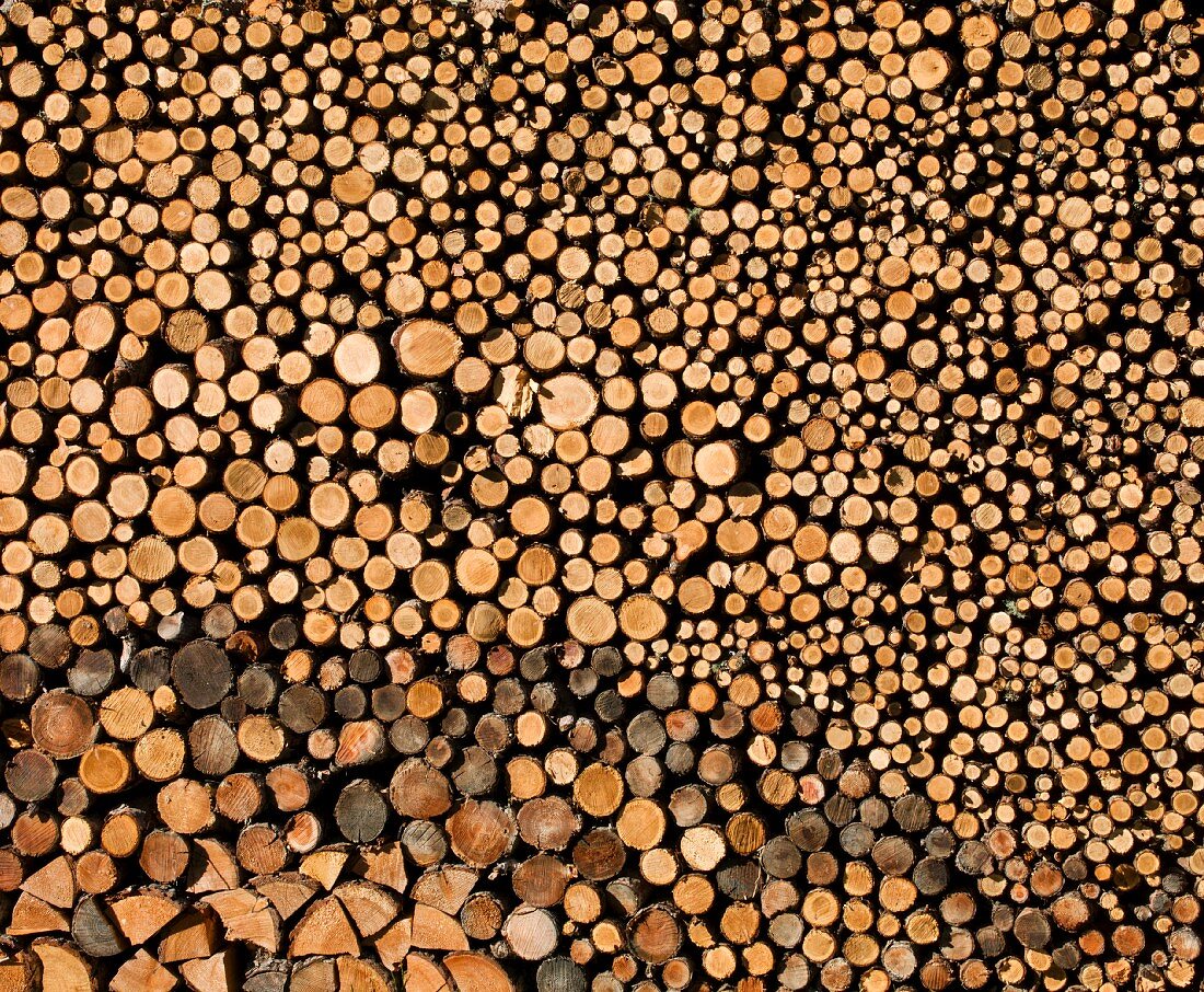 Holzstapel (bildfüllend)