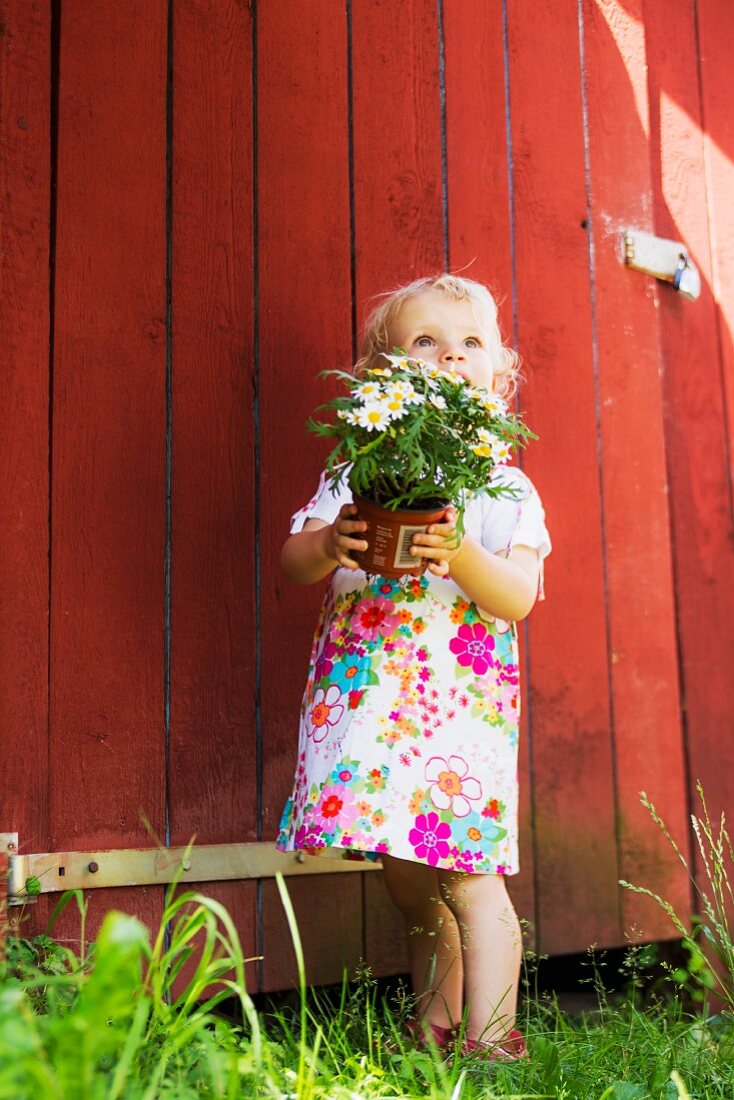 Kleines Mädchen hält Topfpflanze vor einer Scheune