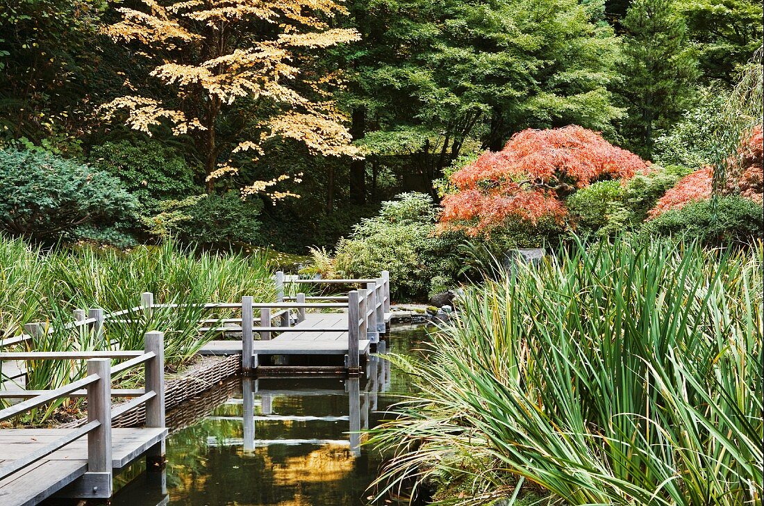 Holzsteg an einem Koi-Teich im Japanischen Garten in Portland