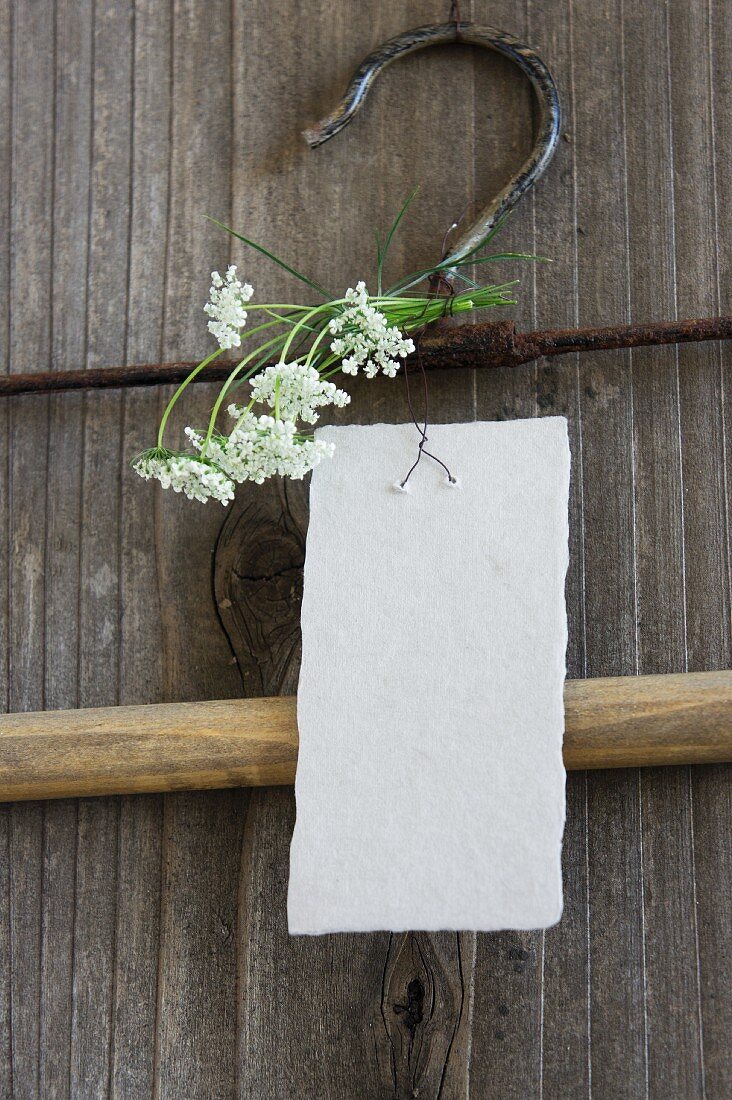 Flowers drying on a clothes hanger with note cards for writing on (cow parsley)