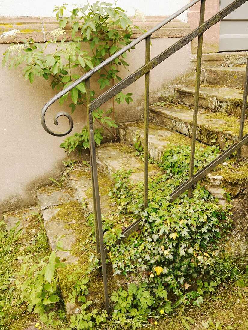 Alte Steintreppe mit Metallgeländer im Garten