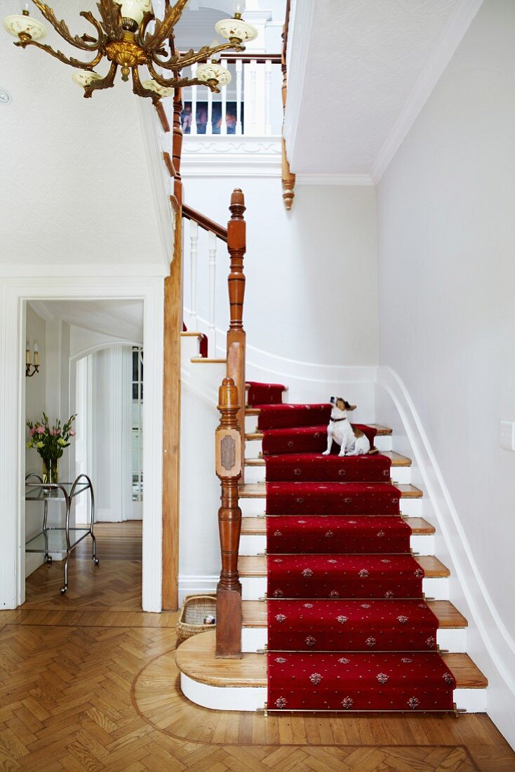 Weisses, traditionelles Treppenhaus mit rotem Teppichläufer auf gewendelter Treppe