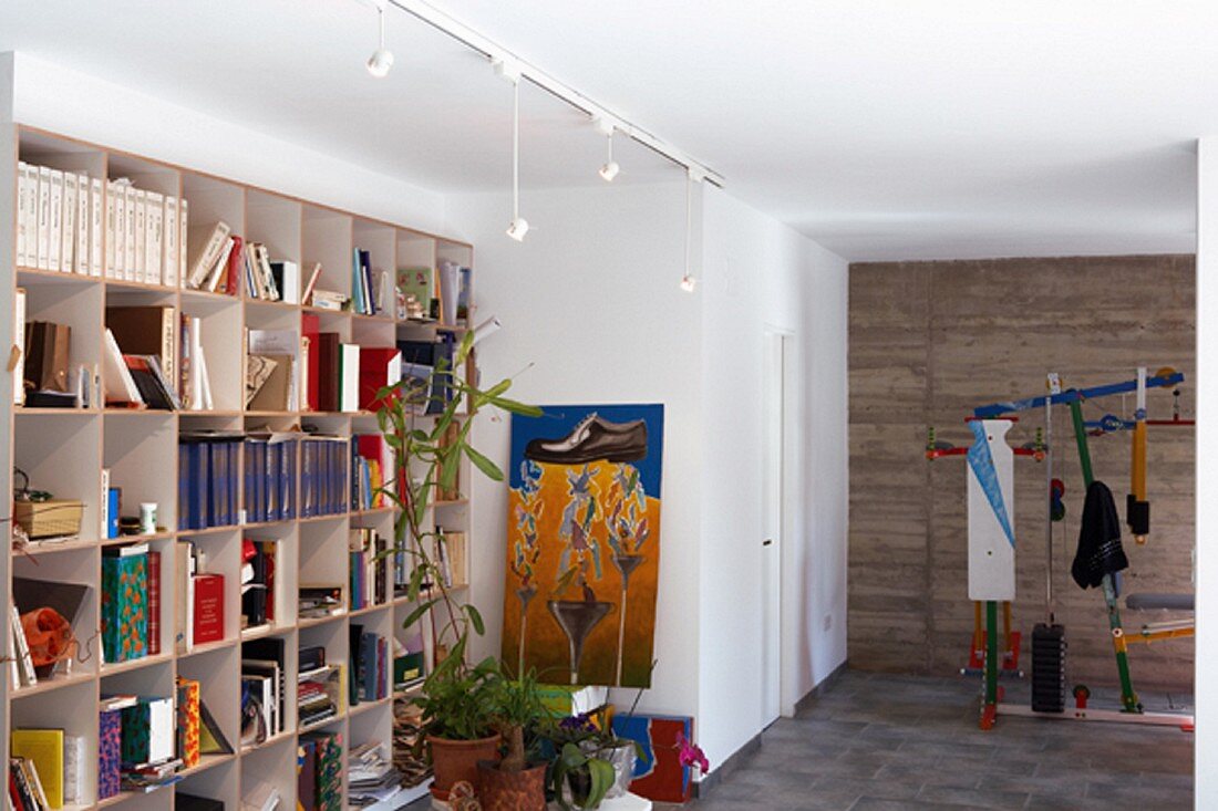 Heller Raum mit buntem Fitnessgerät, moderner Malerei und lebendiger Bücherwand
