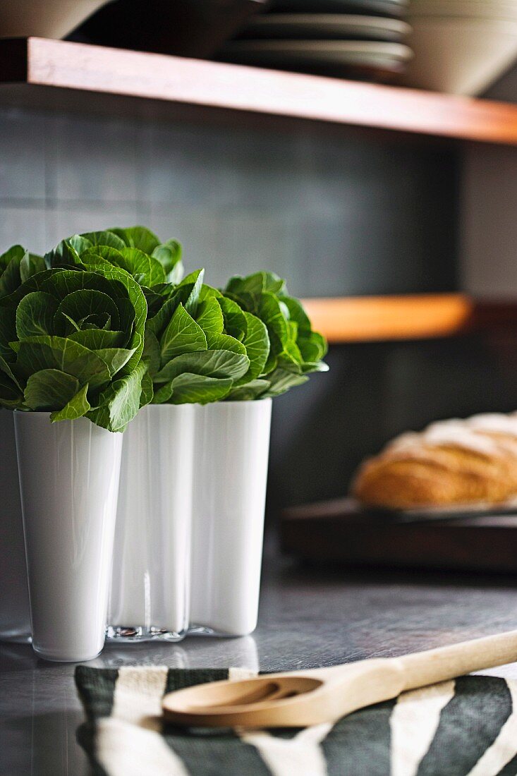 Leafy vegetables in white, designer Aalto vase