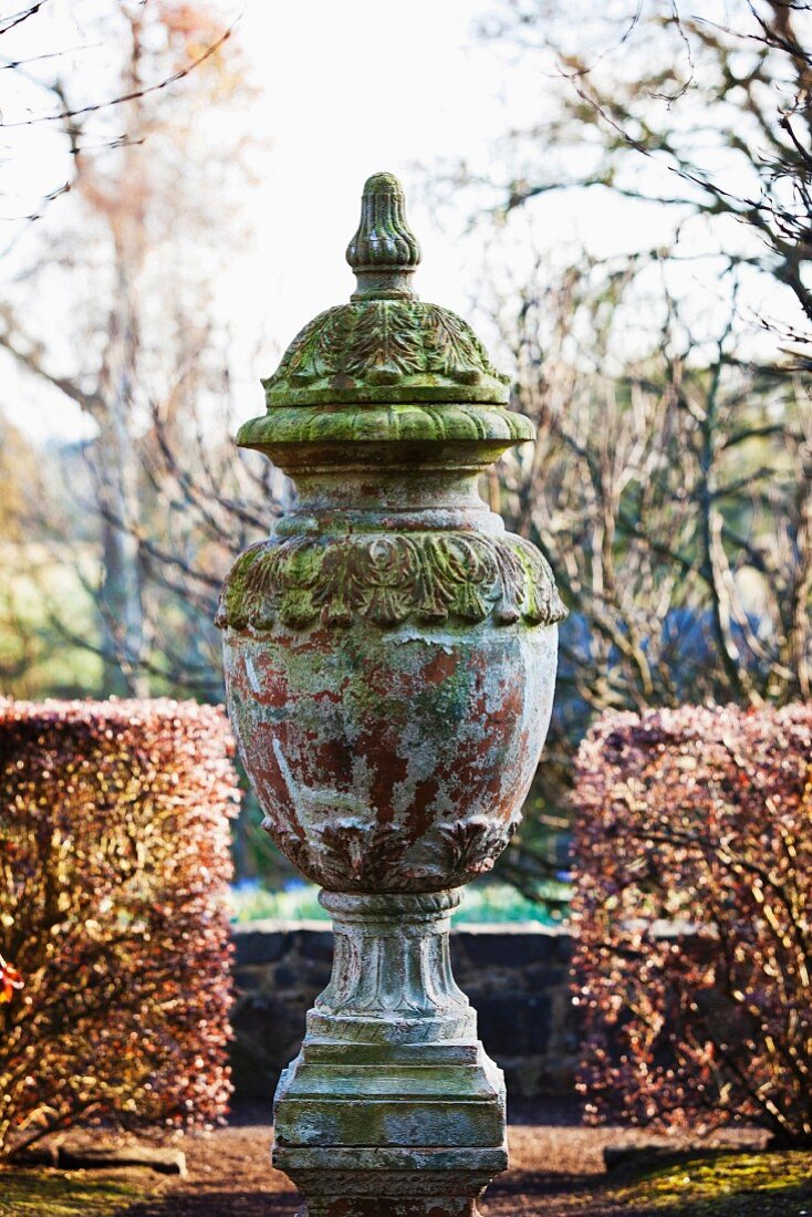 Antique, mossy urn flanked by clipped hedges