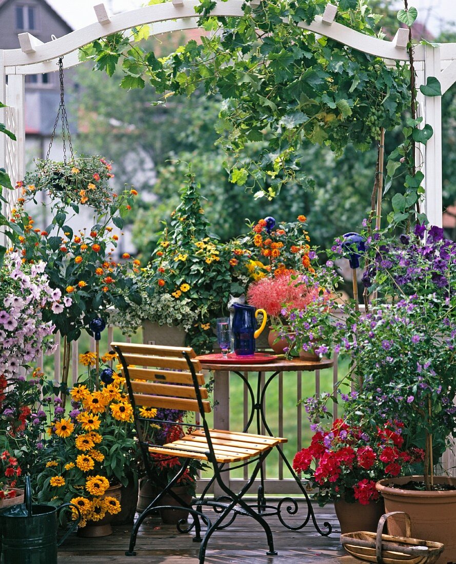 Balkon mit filigranen Balkonmöbeln und prächtig blühenden Balkonpflanzen
