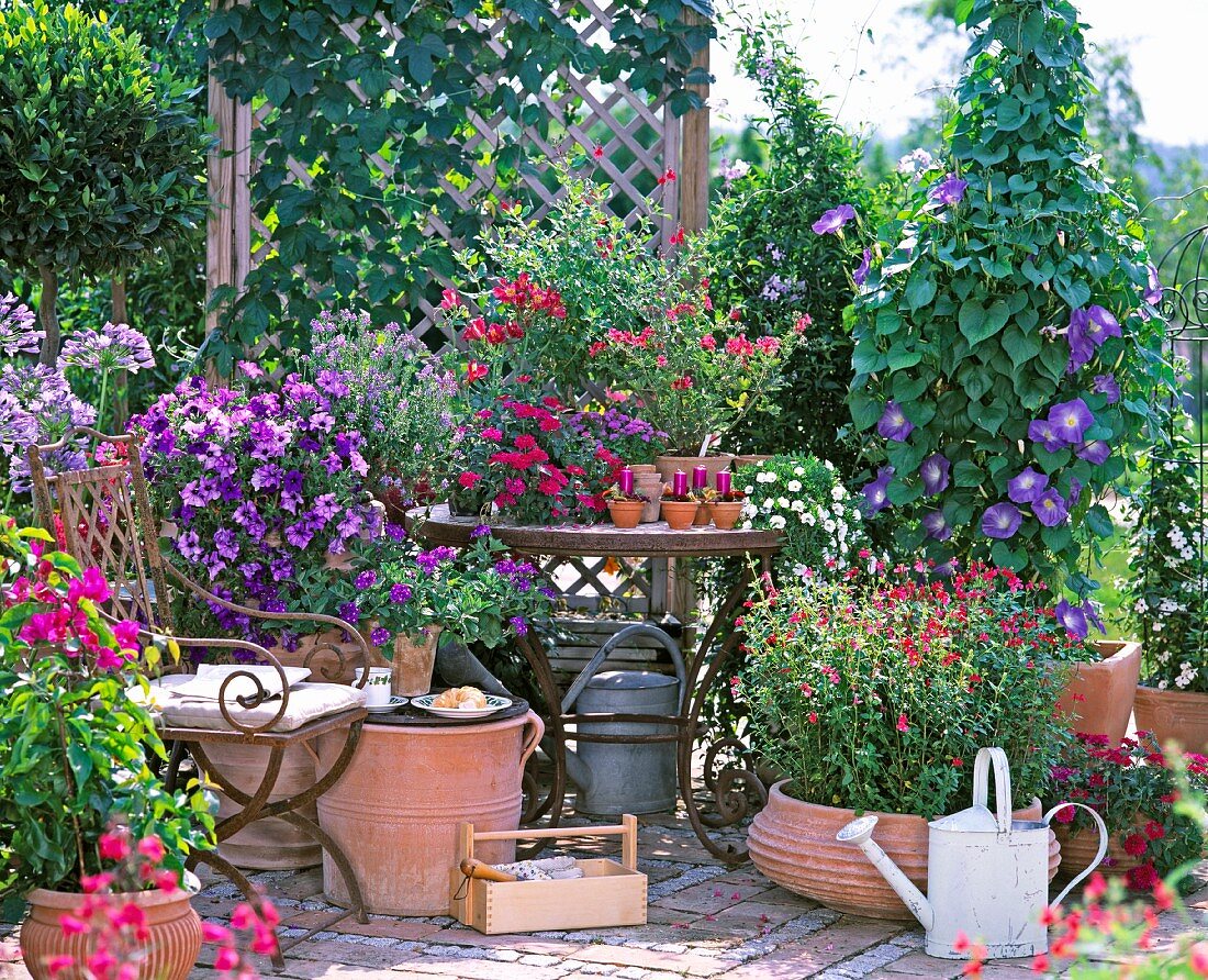 Gartenterrasse im mediterranen Stil mit verschiedenen Terrakottavasen und prächtig blühenden Pflanzen