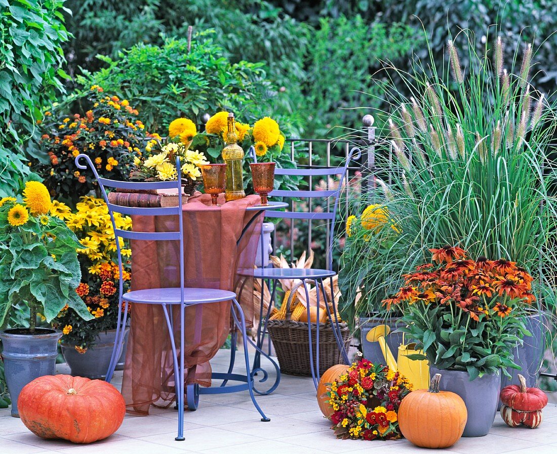 Herbstlich dekorierte Gartenterrasse mit gelb-orangen Farbakzenten