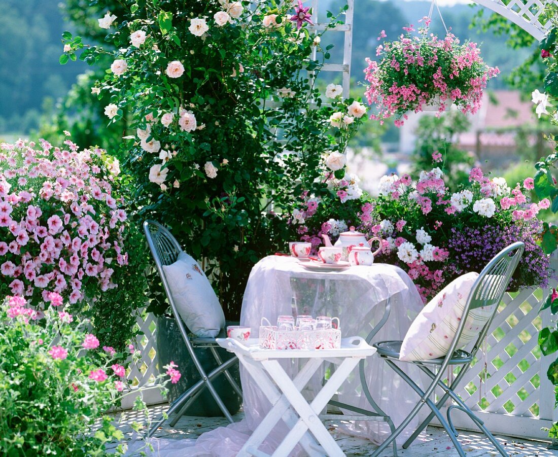 Sunny seating area amongst fragrant roses and pink flowering hanging baskets