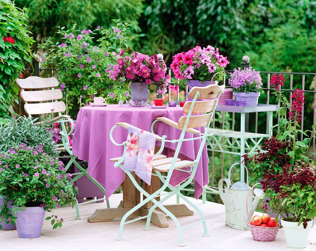Violett blühende Balkonecke mit passender Tischdecke auf dem Balkontisch