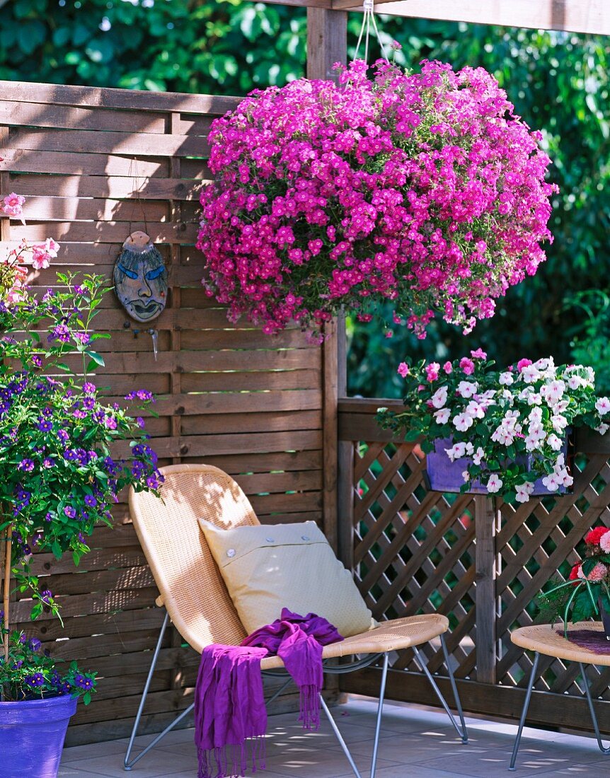 Bright purple hanging basket on balcony with wooden balustrade
