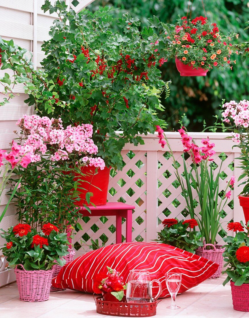 Blooming balcony with glorious flowers in shades from red to pink