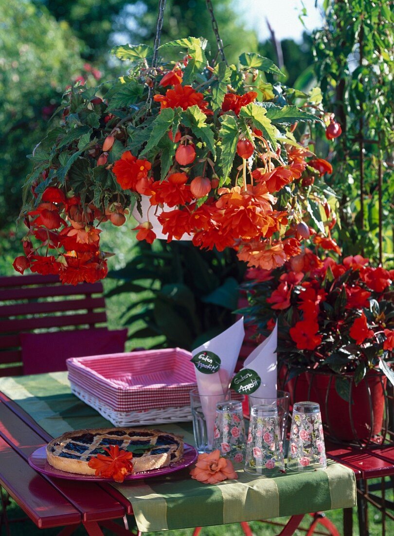 Fruit tart and glasses on garden table with red and orange trailing begonias