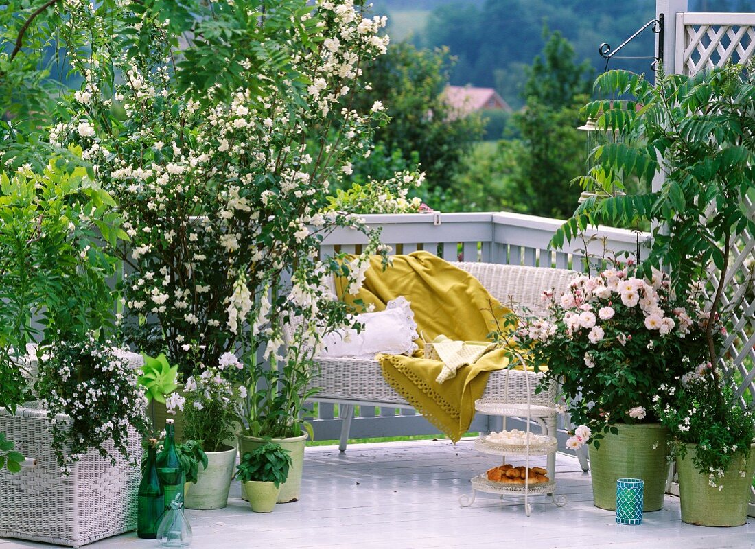 Balkon mit schöner Aussicht und weiss blühenden Pflanzen