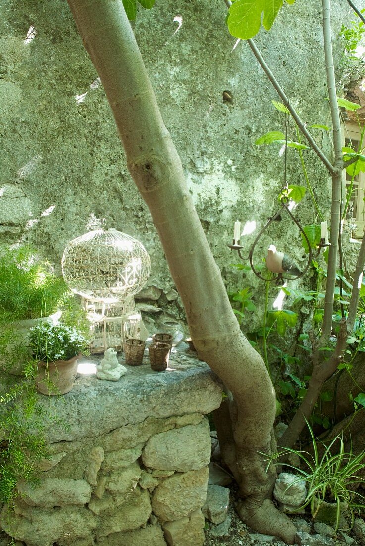 Verwildertes Ambiente - Windlichter auf halbhoher Mauer aus Naturstein und Kerzenleuchter mit Vogelmotiv am Baum hängend