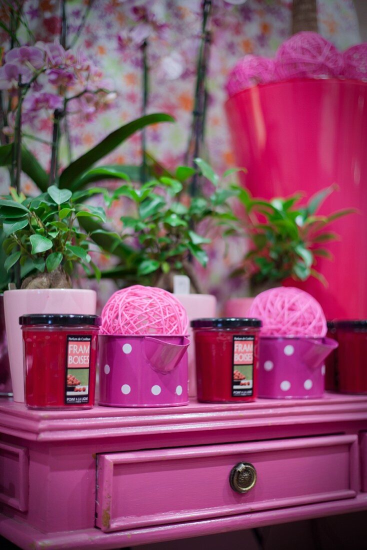 Decorative items, scented candles and house plants on pink cabinet