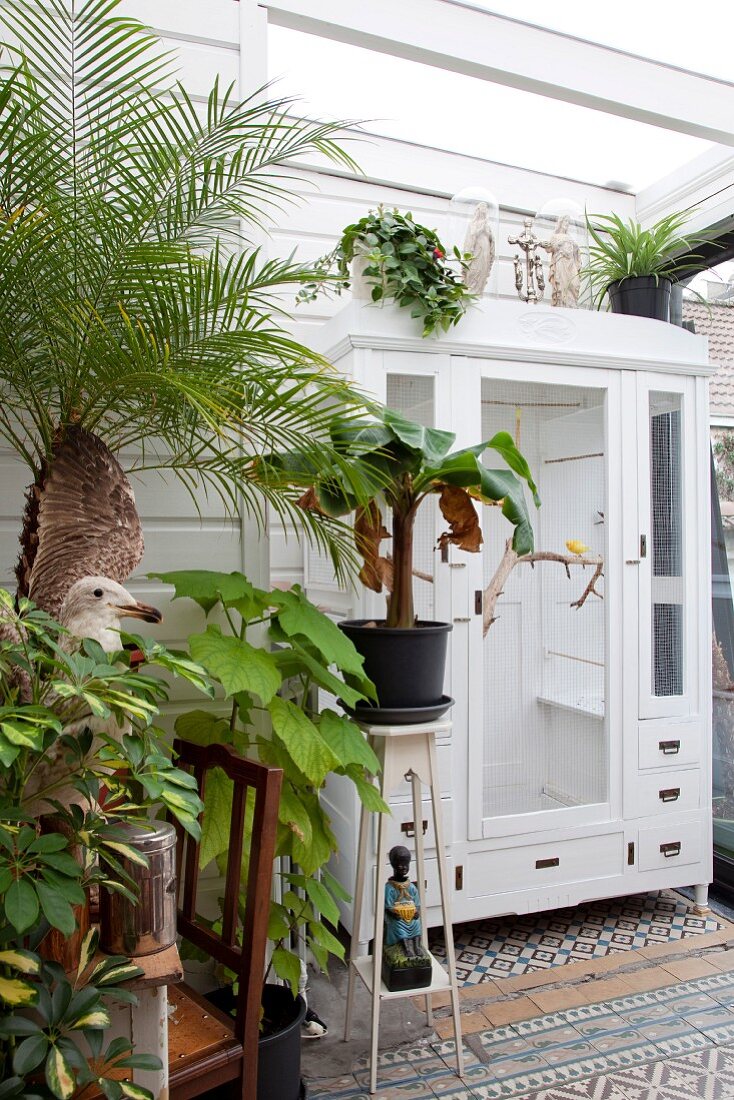 Houseplants in front of white cupboard with mirrored doors