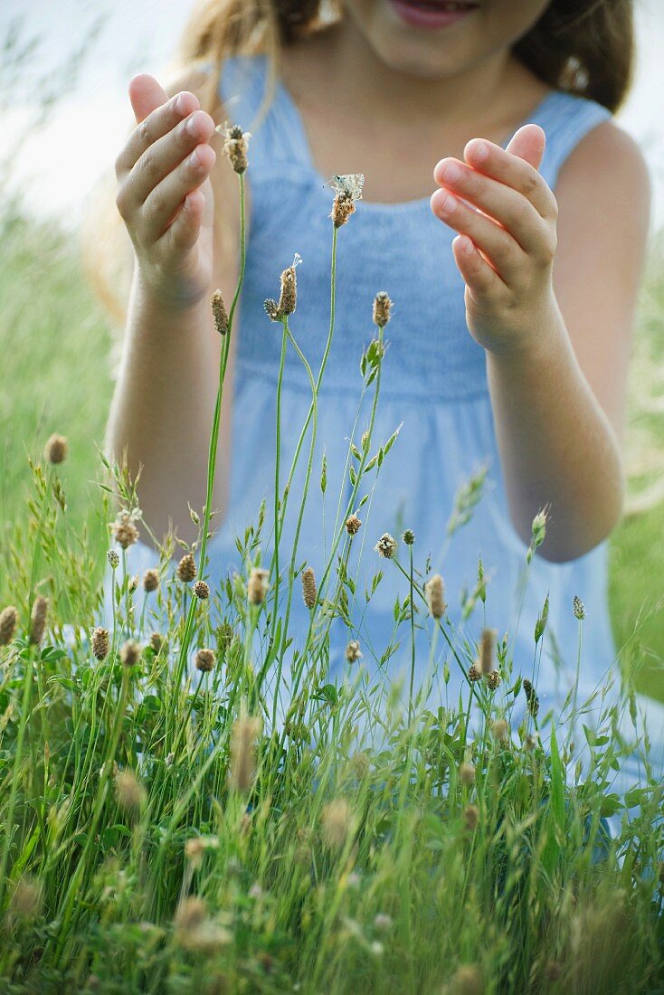 Kleines Mädchen fängt Schmetterlinge auf Wildblumen