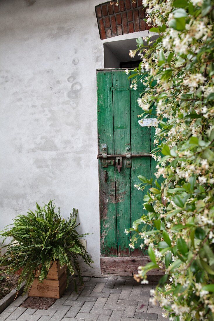 Begrünter Eingangsbereich vor Haus mit rustikaler grüner Holztür
