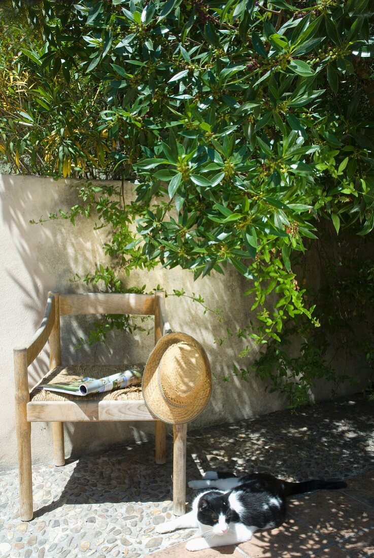 Sonnenhut hängt an schlichtem Armlehnstuhl aus Holz neben Katze auf Terrassenboden