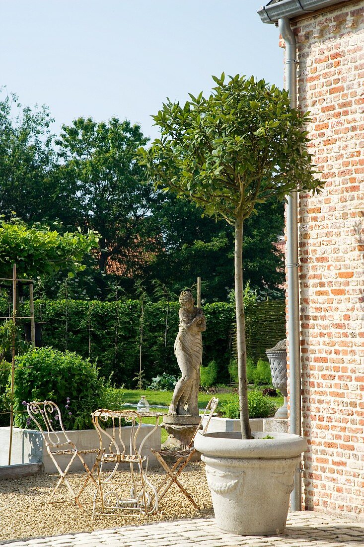 Small tree in terracotta vase against brick wall; stone statue on plinth and vintage garden furniture in background