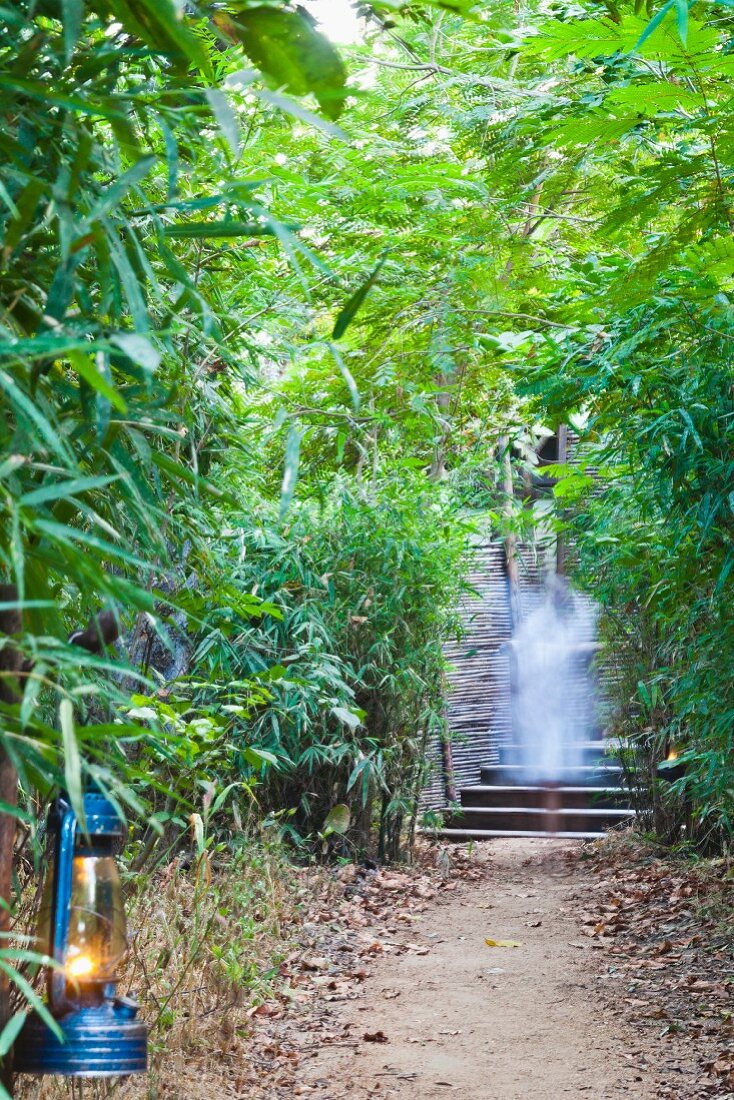 Weg durch tropischen Garten mit Bambussträuchern und aufgehängter Vintage Laterne