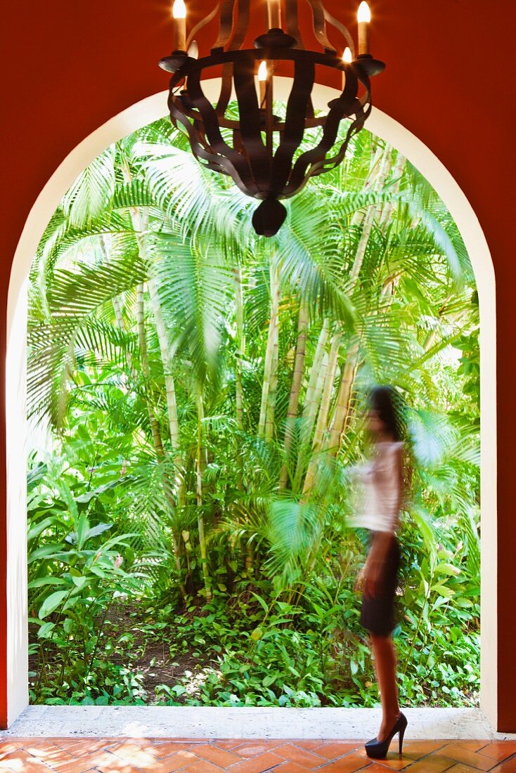 View of lush, exotic plants through rounded archway