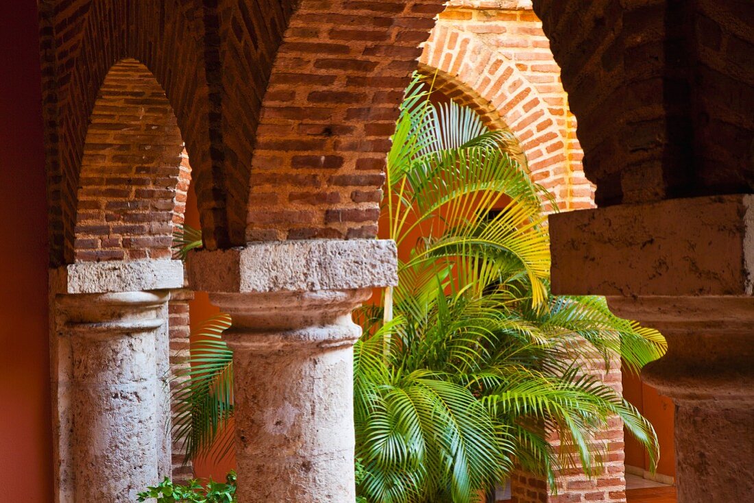 Historischer Säulengang aus der Kolonialzeit mit prächtiger Palme