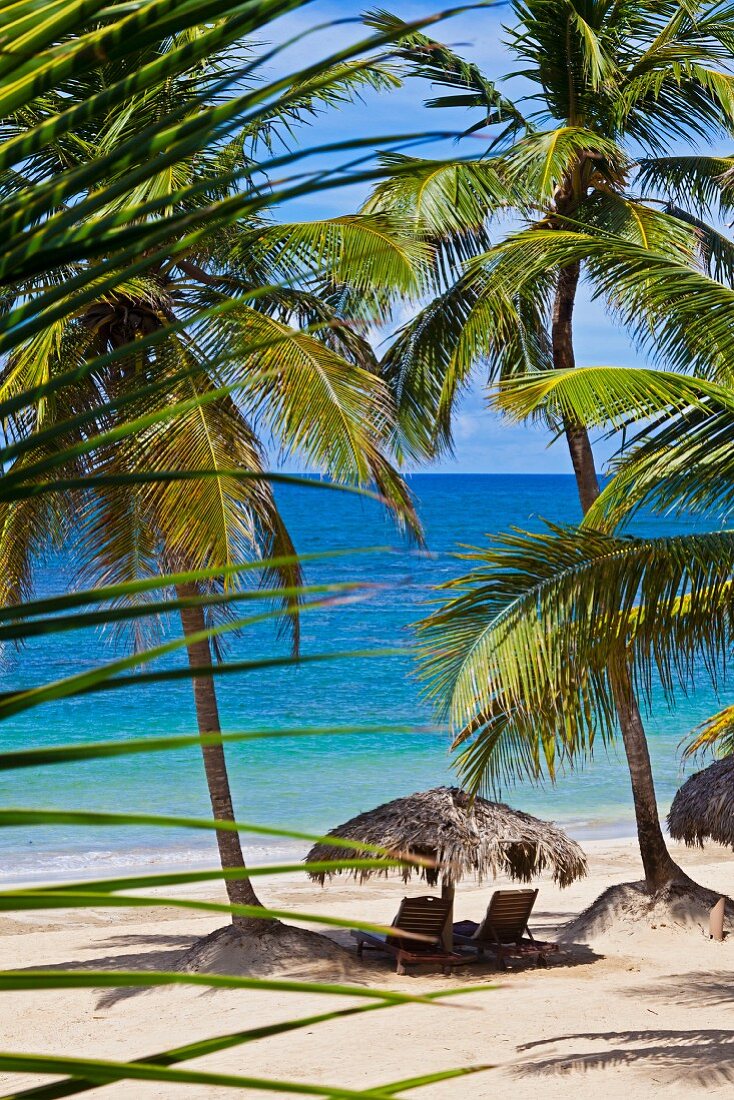Sonnenschirm und Holzliegen an karibischem Palmenstrand