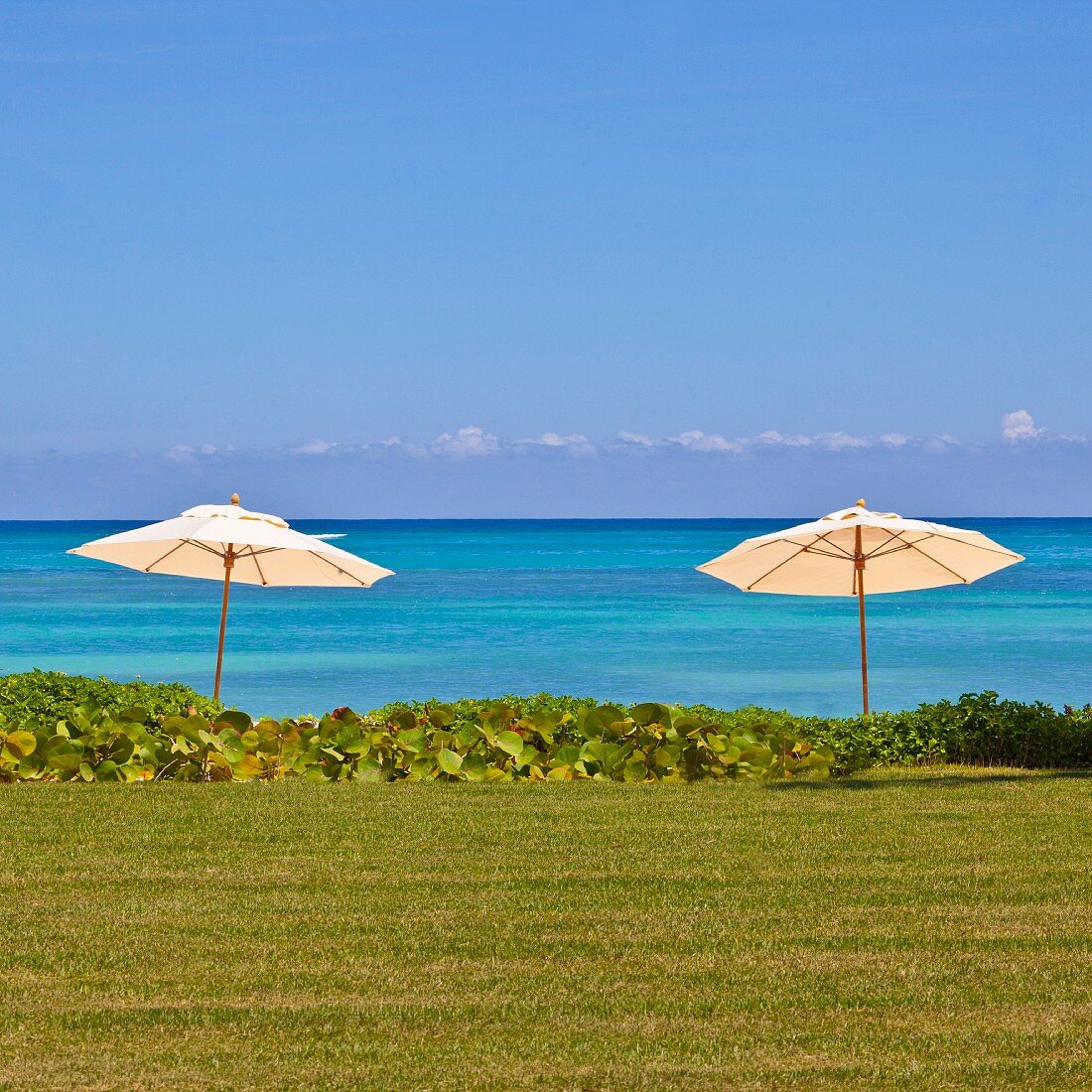 Zwei Sonnenschirme vor strahlend blauem Meer und Rasenfläche mit tropischem Bewuchs