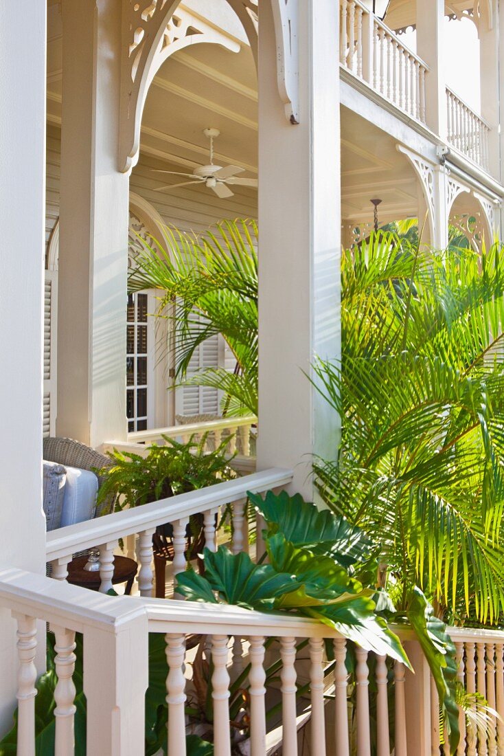 Elegante Veranda mit Rundbögen vor weißem Gebäude in elegantem Kolonialstil und Palmen