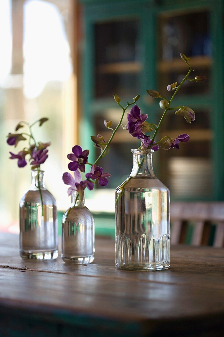 Blumenzweige mit Orchideenblüten in Retro Glasflaschen auf Holztisch