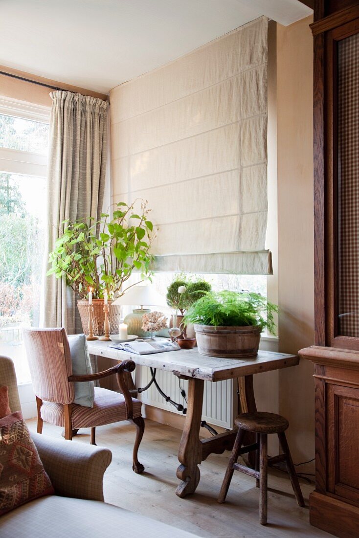 Antique armchair and houseplants on rustic wooden table below window with closed Roman blind