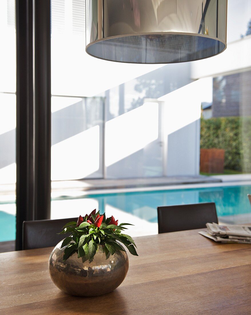 House plant in spherical metal container on wooden table in front of glass wall with view of pool