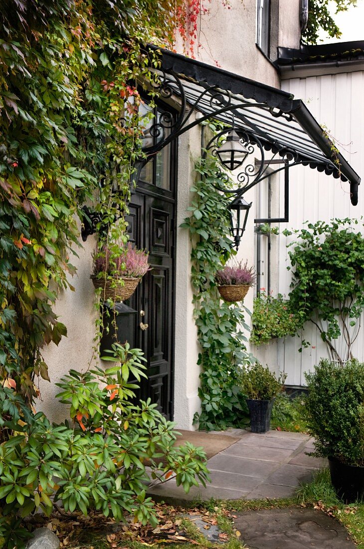 Classic coffered door and glass porch with old, wrought iron frame on vine-covered facade