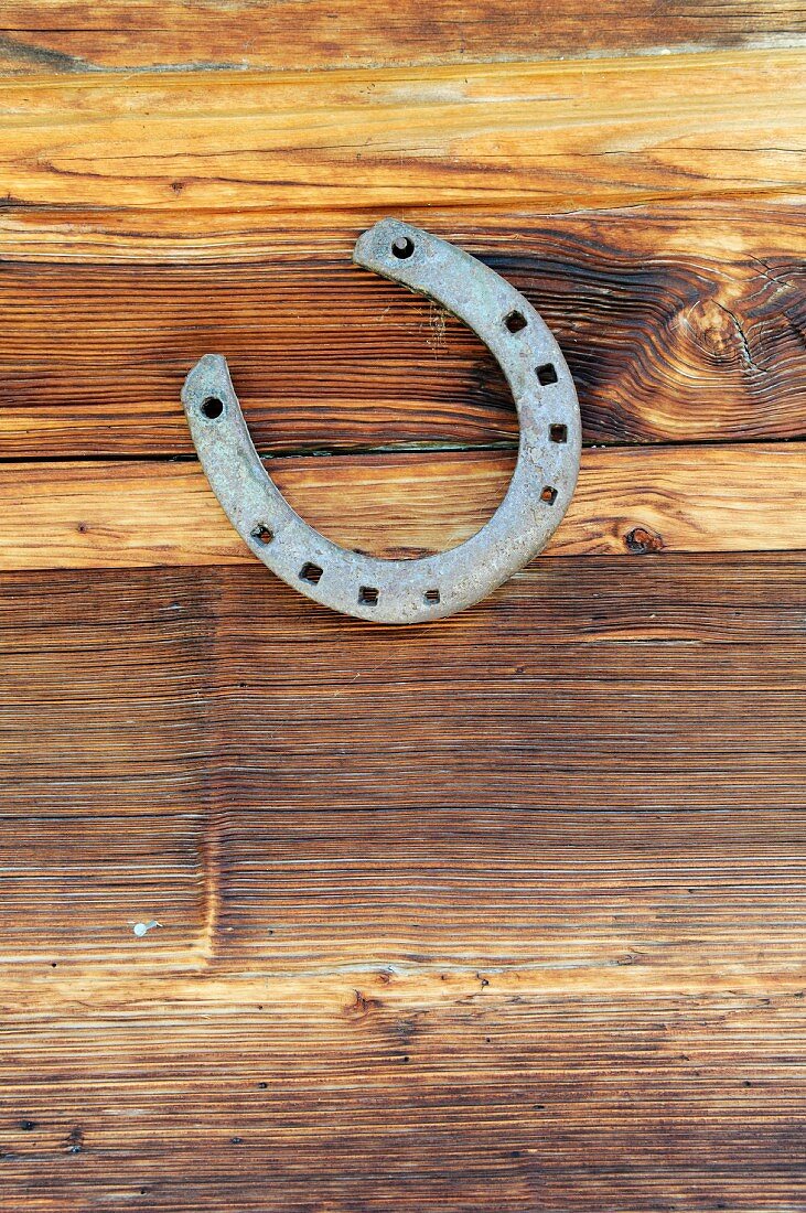 Horse shoe hung on wooden wall