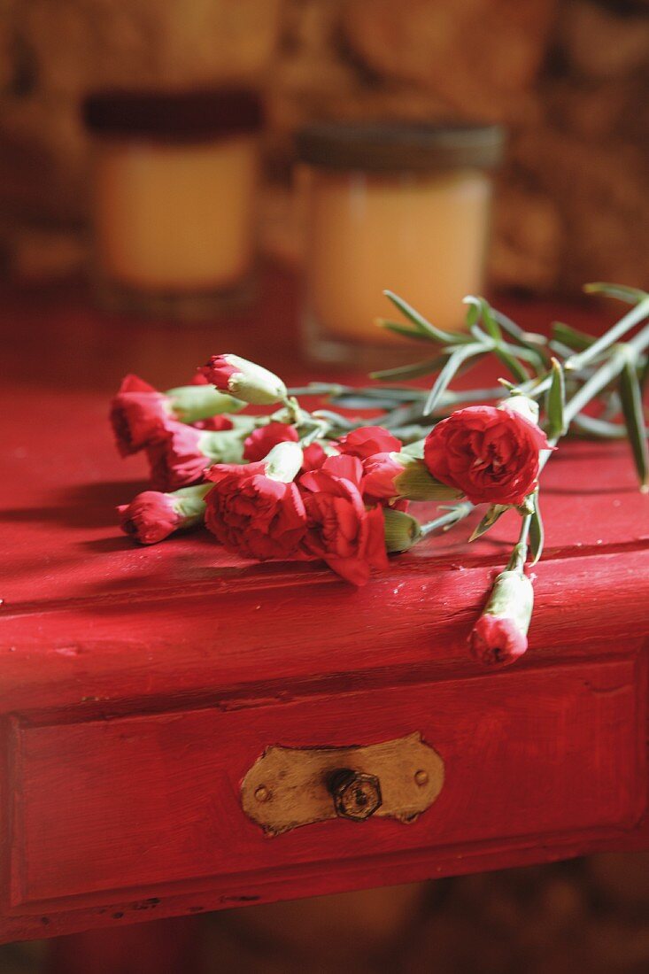 Carnations on wooden table painted deep pink