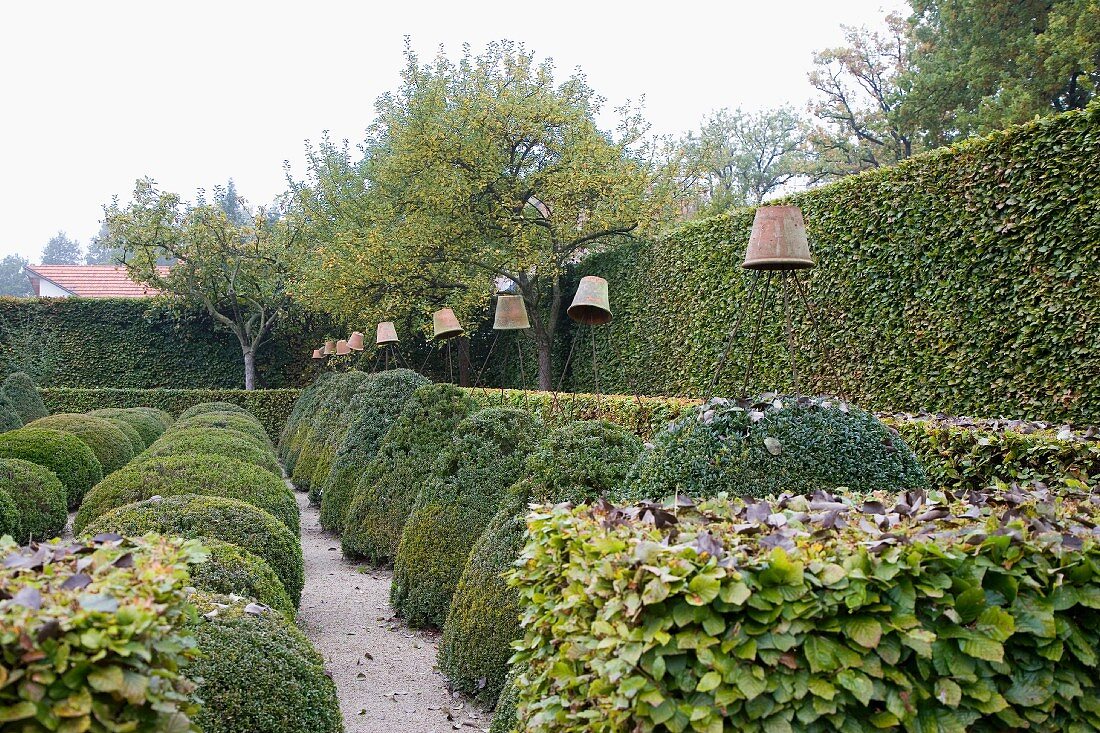 View along clipped hedges & box bushes with upturned terracotta pots on poles