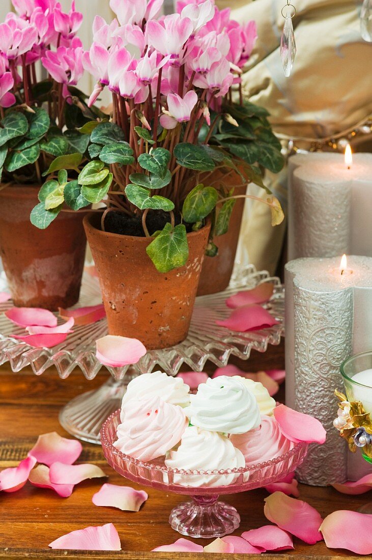 Baisergebäck, silberne Kerzen und Cyclamen in Blumentöpfen