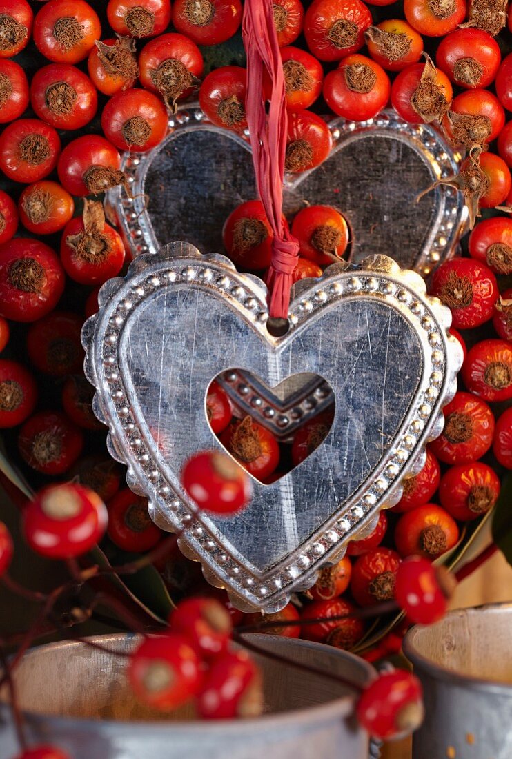 Small silver hearts hanging on red ribbons against rosehips