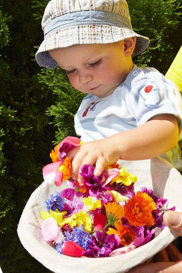 Baby spielt mit Blüten im Korb