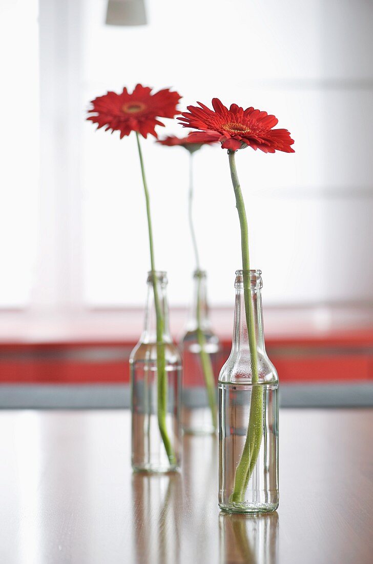 Glass bottles containing single red gerbera daisies on table