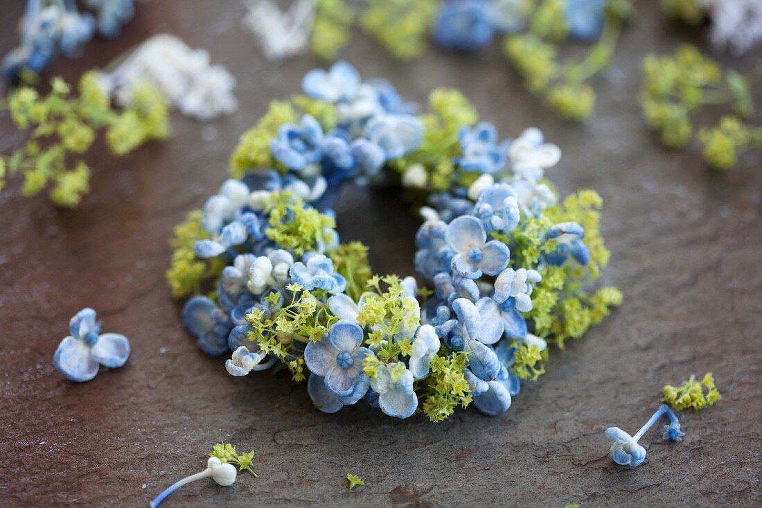 Small wreath of blue hydrangea florets and lady's mantel