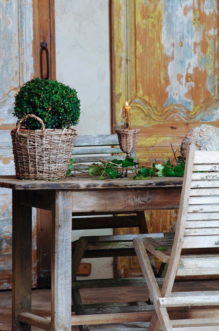Buchsbaum im Übertopf aus Vintage Geflecht neben Blätterzweigen und Kerzenständer auf Holztisch vor Wand mit Holzpaneelen und abblätternder Farbe