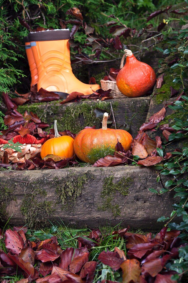 Squash, wellington boots and leaves on some steps